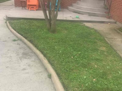 Lawn Care service in Anaheim, 92805