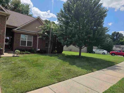Lawn Care service in Gallatin, 37066