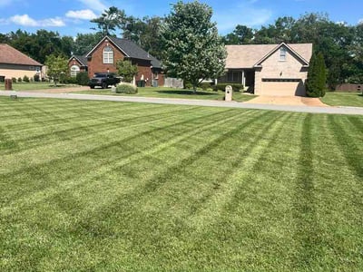 Lawn Care service in Gallatin, 37066