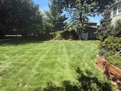 Lawn Care service in Hoboken, 07030