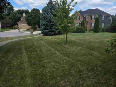 Lawn Care service in West Chicago, 60185
