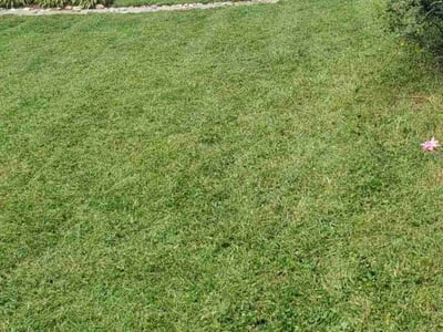 Lawn Care service in Dumfries, 22026