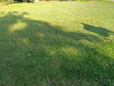 Lawn Care service in Pascagoula, 39567
