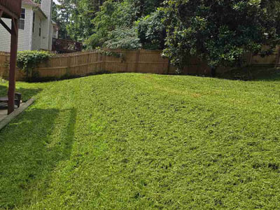 Lawn Care service in Princeton, 24740
