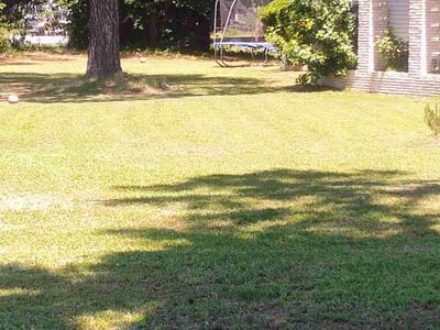 Lawn Care service in Smithfield, 23430