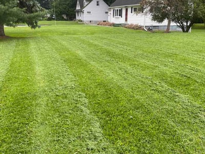 Lawn Care service in Fairport, 14450