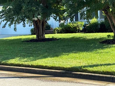 Lawn Care service in Smithfield, 23430
