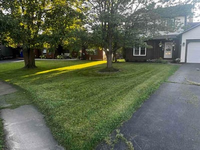 Lawn Care service in Fairport, 14450