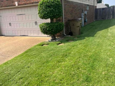 Lawn Care service in Rossville, 38066