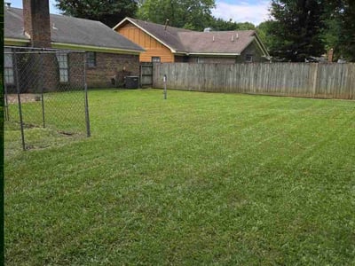 Lawn Care service in Rossville, 38066