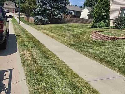 Lawn Care service in Corona, 11368