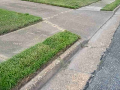 Lawn Care service in Burbank, 91502