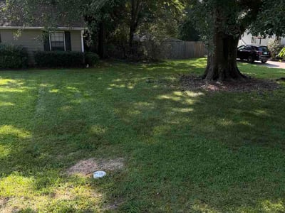 Lawn Care service in Howard Beach, 11414