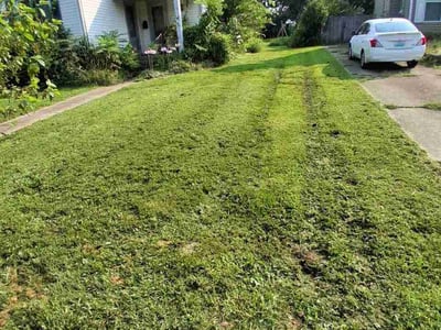 Lawn Care service in Jeffersontown, 40299