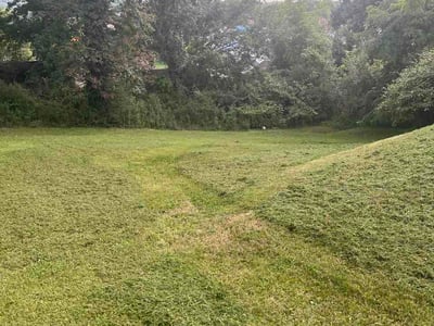 Lawn Care service in Bristol, 37620