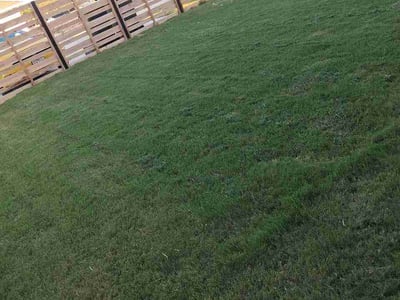 Lawn Care service in Garfield, 07026