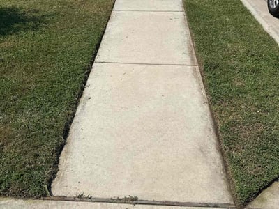 Lawn Care service in Long Island City, 11101