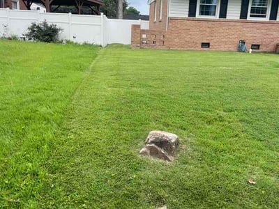 Lawn Care service in Colonial Heights, 23834