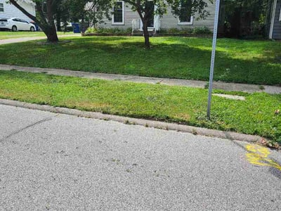 Lawn Care service in Des Moines, 50309
