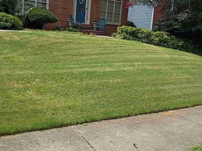 Lawn Care service in Ontario, 91762