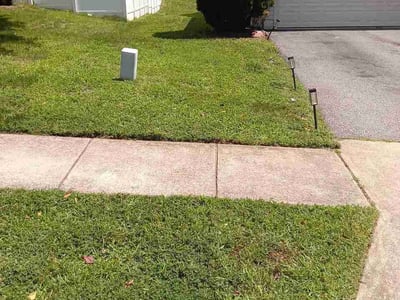 Lawn Care service in Chantilly, 20151