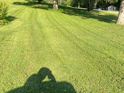 Lawn Care service in Columbia, 38401