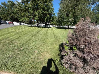 Lawn Care service in Englewood, 07631