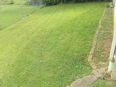 Lawn Care service in Decatur, 62523
