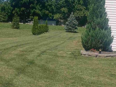 Lawn Care service in Decatur, 62523
