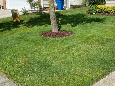 Lawn Care service in Hayes, 23072