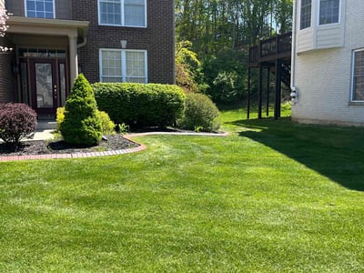 Lawn Care service in ,