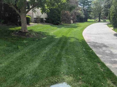 Lawn Care service in Brentwood, 37027