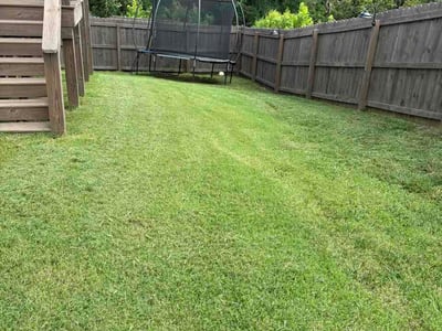 Lawn Care service in Brentwood, 37027