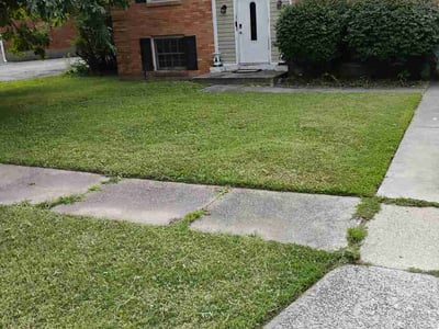 Lawn Care service in Middletown, 40243