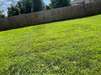 Lawn Care service in Middletown, 40243