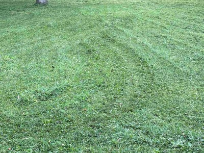 Lawn Care service in Ashland City, 37015