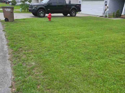Lawn Care service in Clyde, 28721