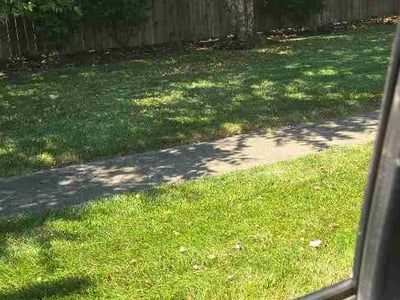Lawn Care service in Woodridge, 60517