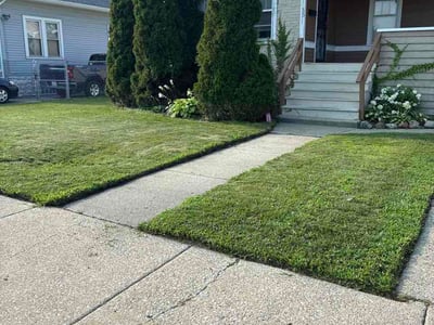 Lawn Care service in Woodridge, 60517