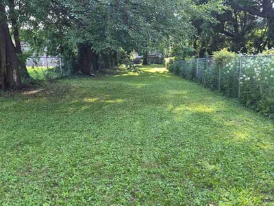 Lawn Care service in Woodridge, 60517