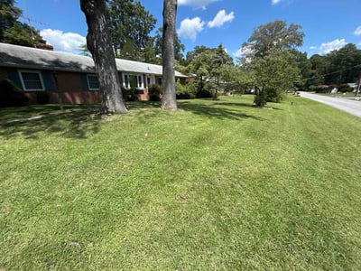 Lawn Care service in Ashland, 23005