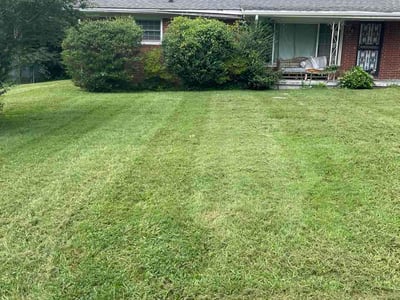 Lawn Care service in Lenoir City, 37771