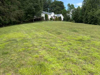 Lawn Care service in Leicester, 28748