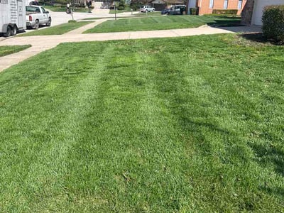 Lawn Care service in Lockport, 60441