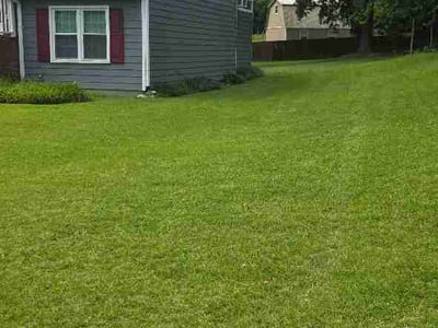Lawn Care service in East Elmhurst, 11369