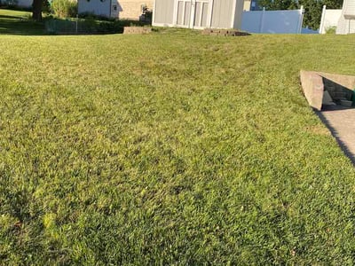 Lawn Care service in Lockport, 60441