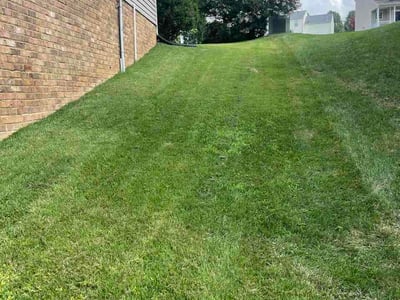 Lawn Care service in Chester, 23831