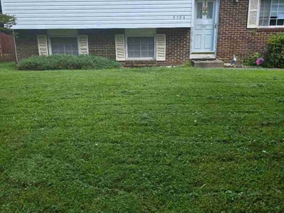 Lawn Care service in Vienna, 22180