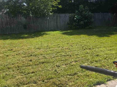Lawn Care service in Virginia Beach, 23451