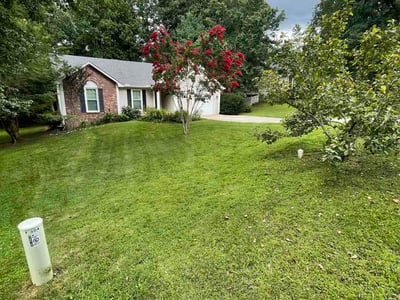 Lawn Care service in Weaverville, 28787